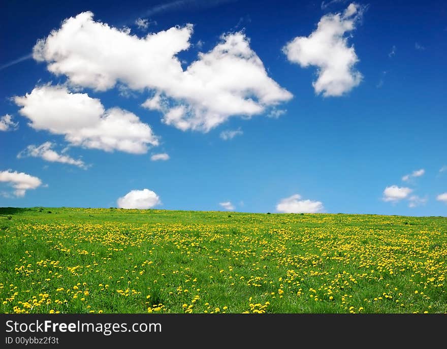 Landscape with yellow dandelions, green grass and blue sky