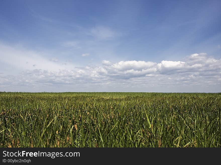 Blue sky and green field