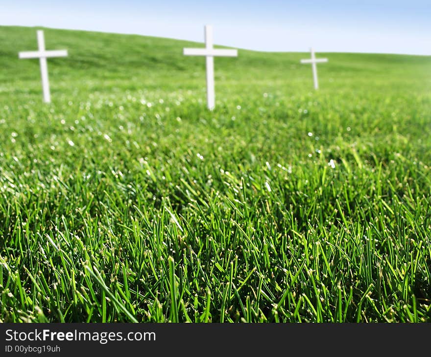 White crosses in open field of grass with room for text. White crosses in open field of grass with room for text