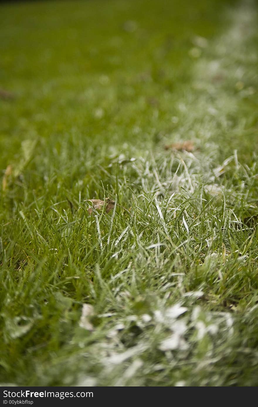 White line on football field. White line on football field