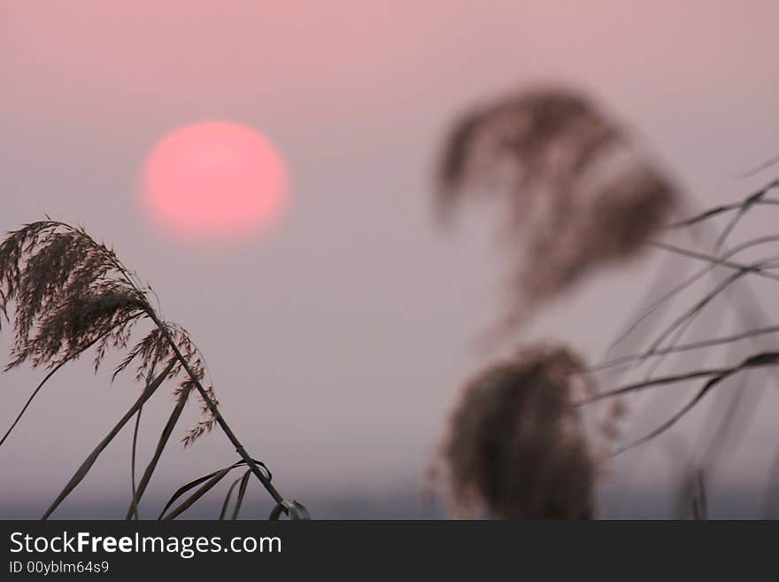 This is sunset in poyang lake. This is sunset in poyang lake