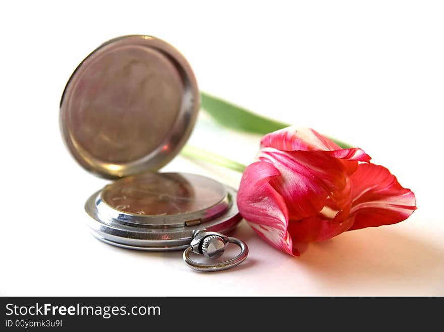 Red fresh tulip and metal vintage watch. Red fresh tulip and metal vintage watch