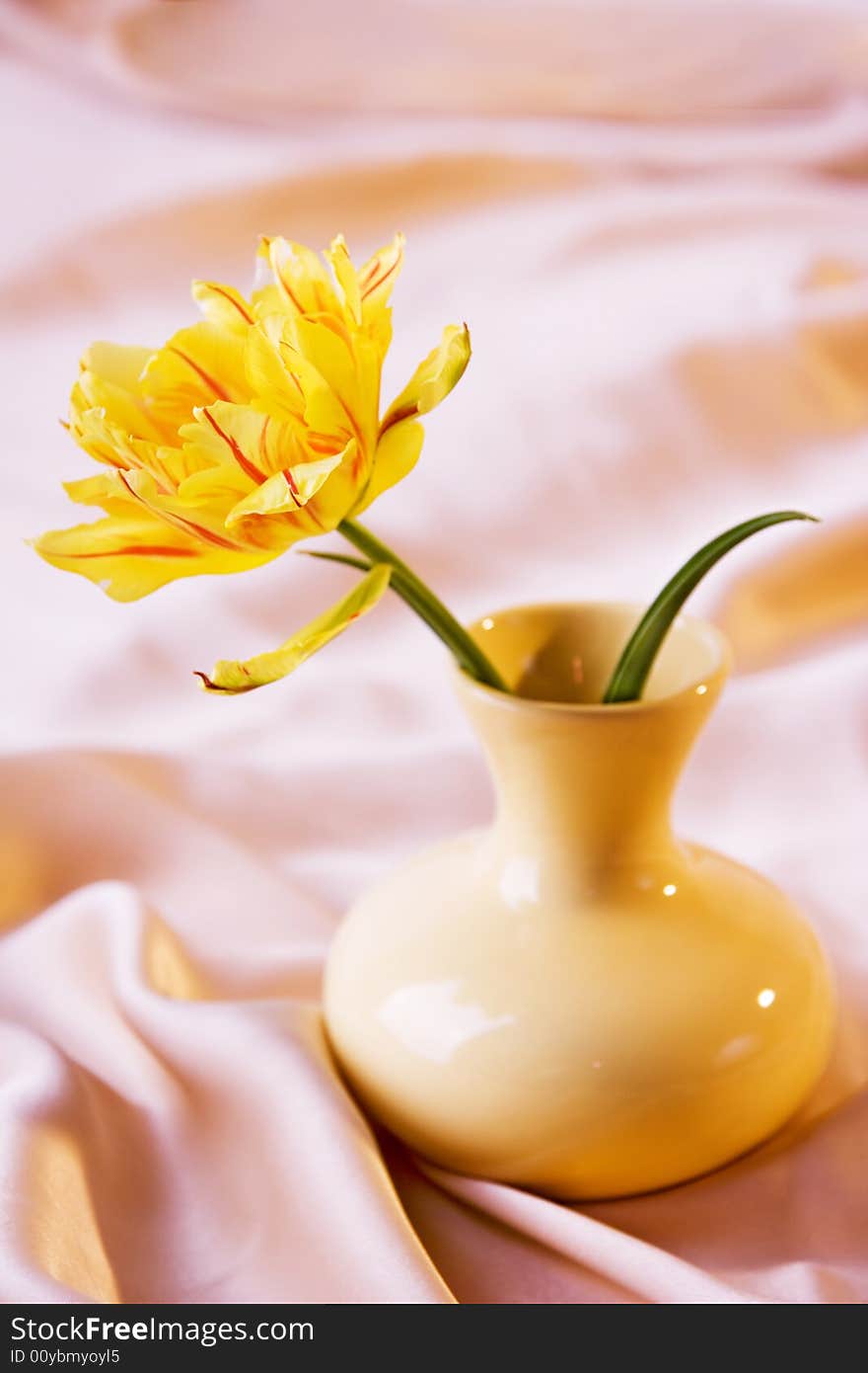 Yellow tulip in yellow vase on beige background. Yellow tulip in yellow vase on beige background