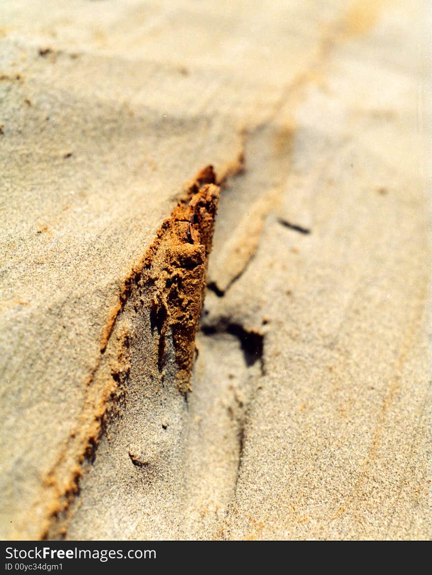 Detail of sandy rock sticking out of sand dune. Detail of sandy rock sticking out of sand dune