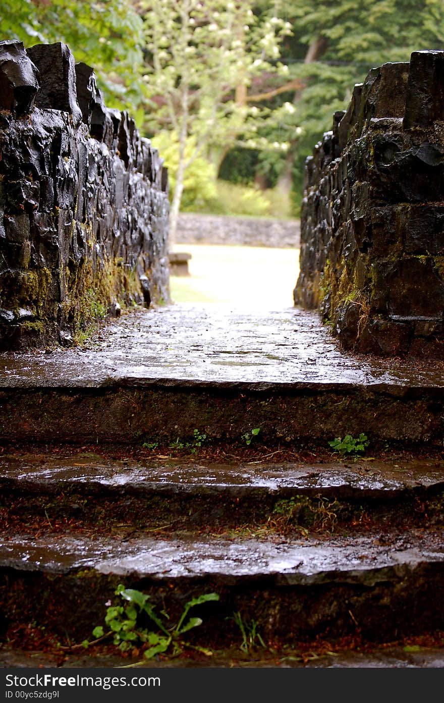 A stone walkway leading to a green garden