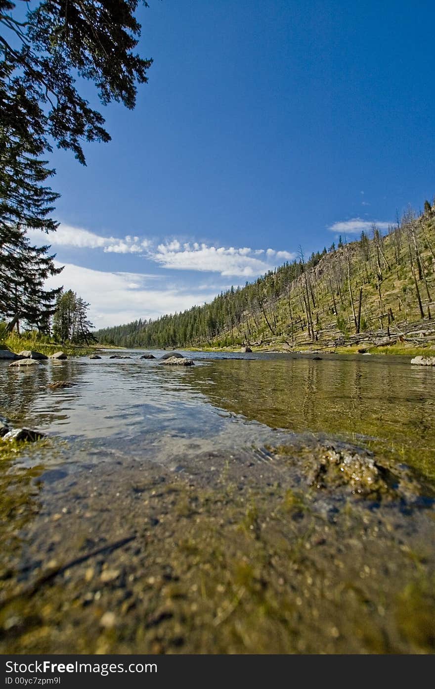 River In Yellowstone