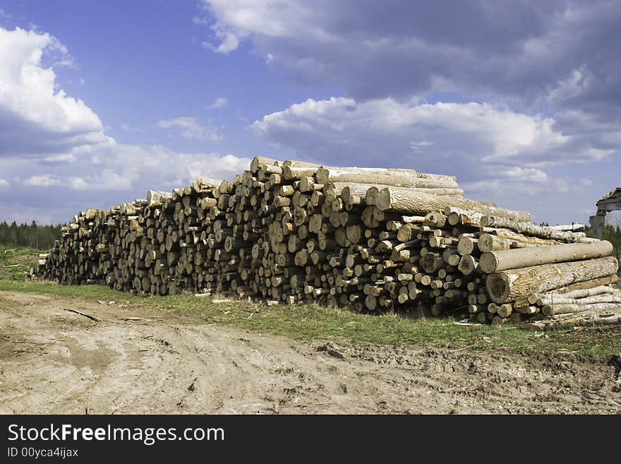 Timber cutting