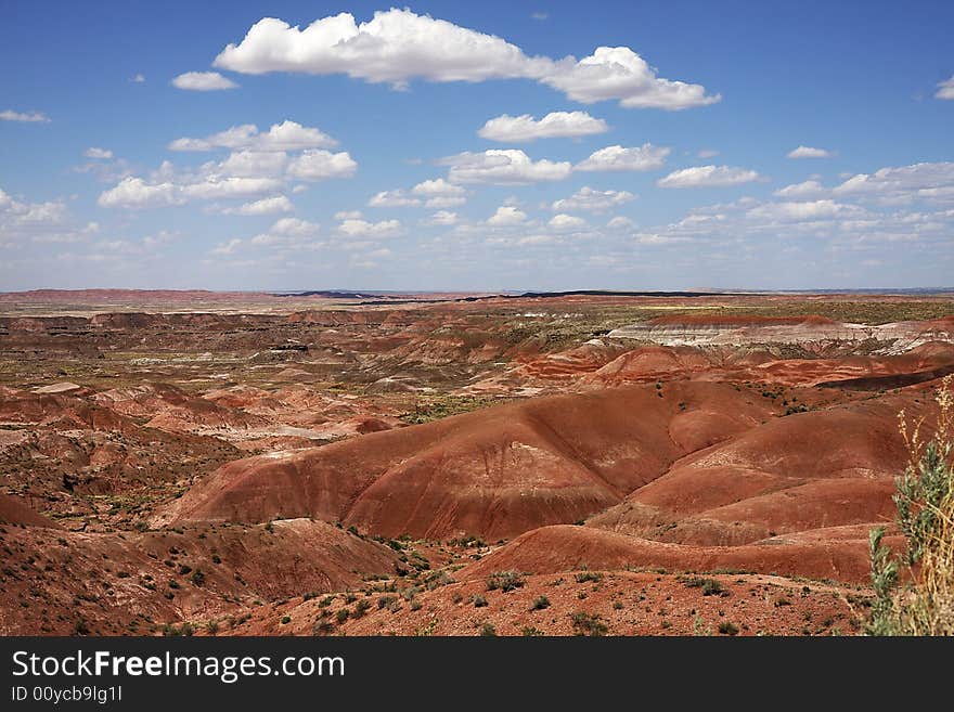 Painting Desert In  Petrified Forest NP