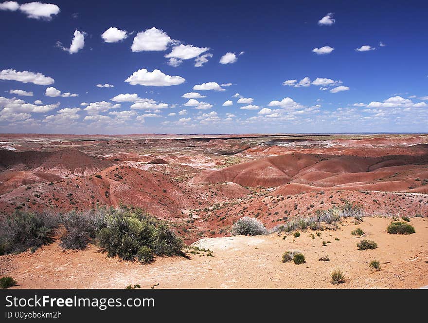 Painting Desert In  Petrified Forest NP