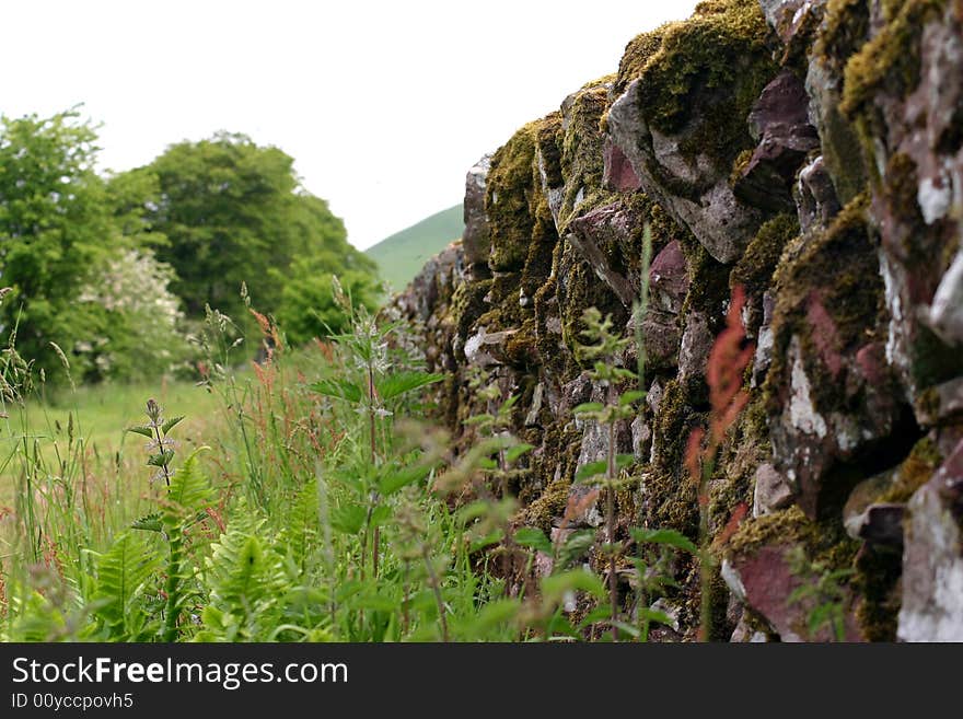 Traditional stone wall in the country of Scotland. Traditional stone wall in the country of Scotland