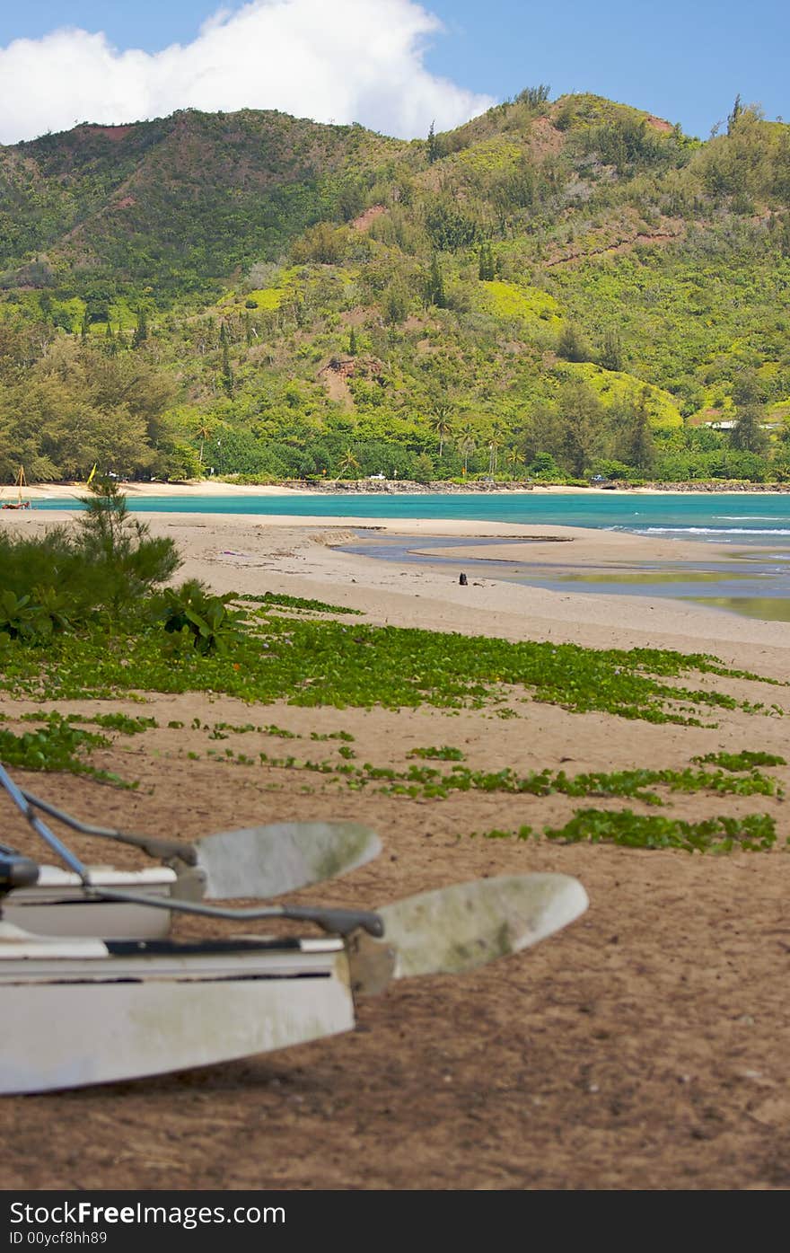 Catamaran in an Inviting Tropical Beach. Catamaran in an Inviting Tropical Beach.