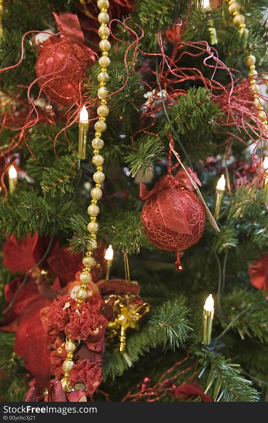 Adorned Christmas tree