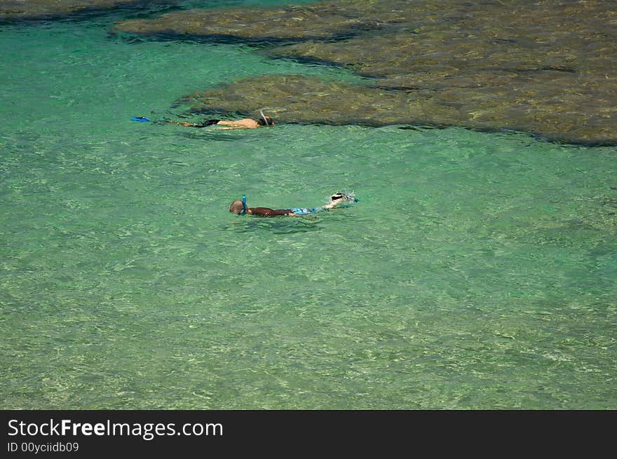 Snorkelers in the Clear Tropical Waters on a Relaxing Summer Day