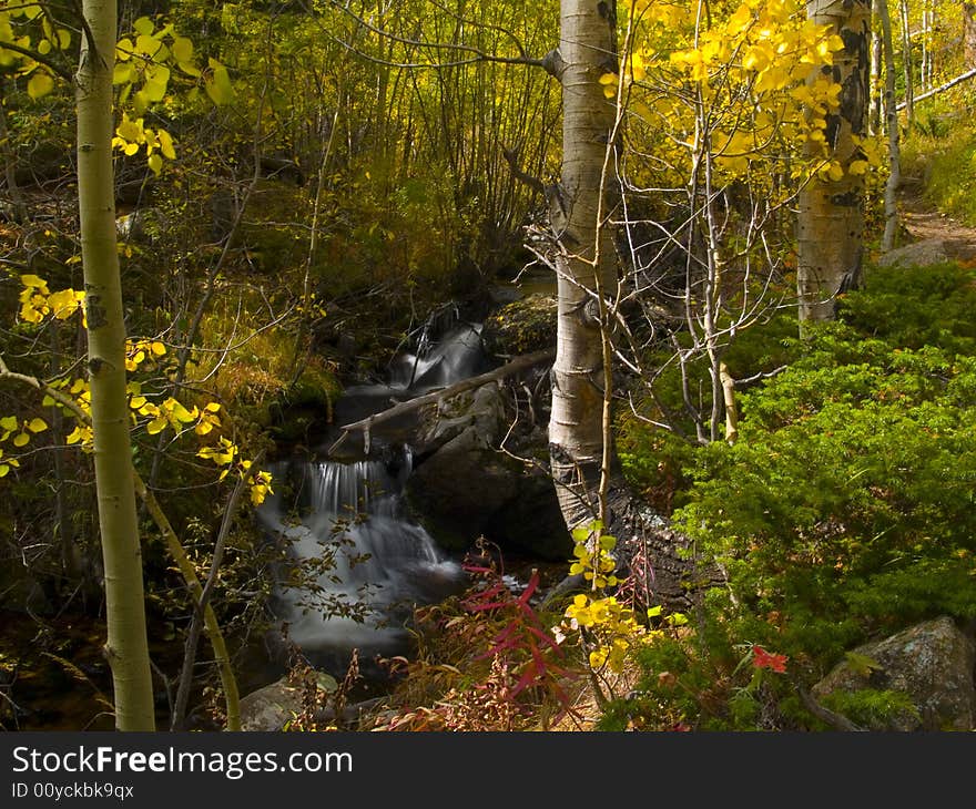 Autumn Colors broken by a cascading brook in Colorado's Rocky Mountains. Autumn Colors broken by a cascading brook in Colorado's Rocky Mountains