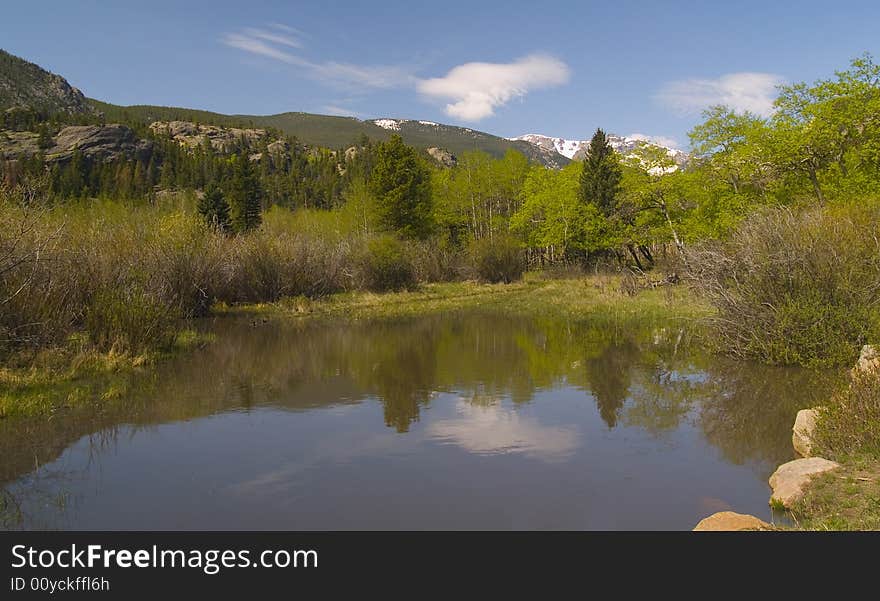 Spring Pond in the Rockies