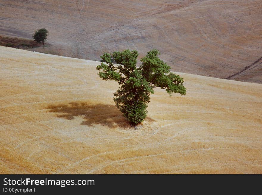 Sunny and windy day on val d'orcia, italy. Sunny and windy day on val d'orcia, italy