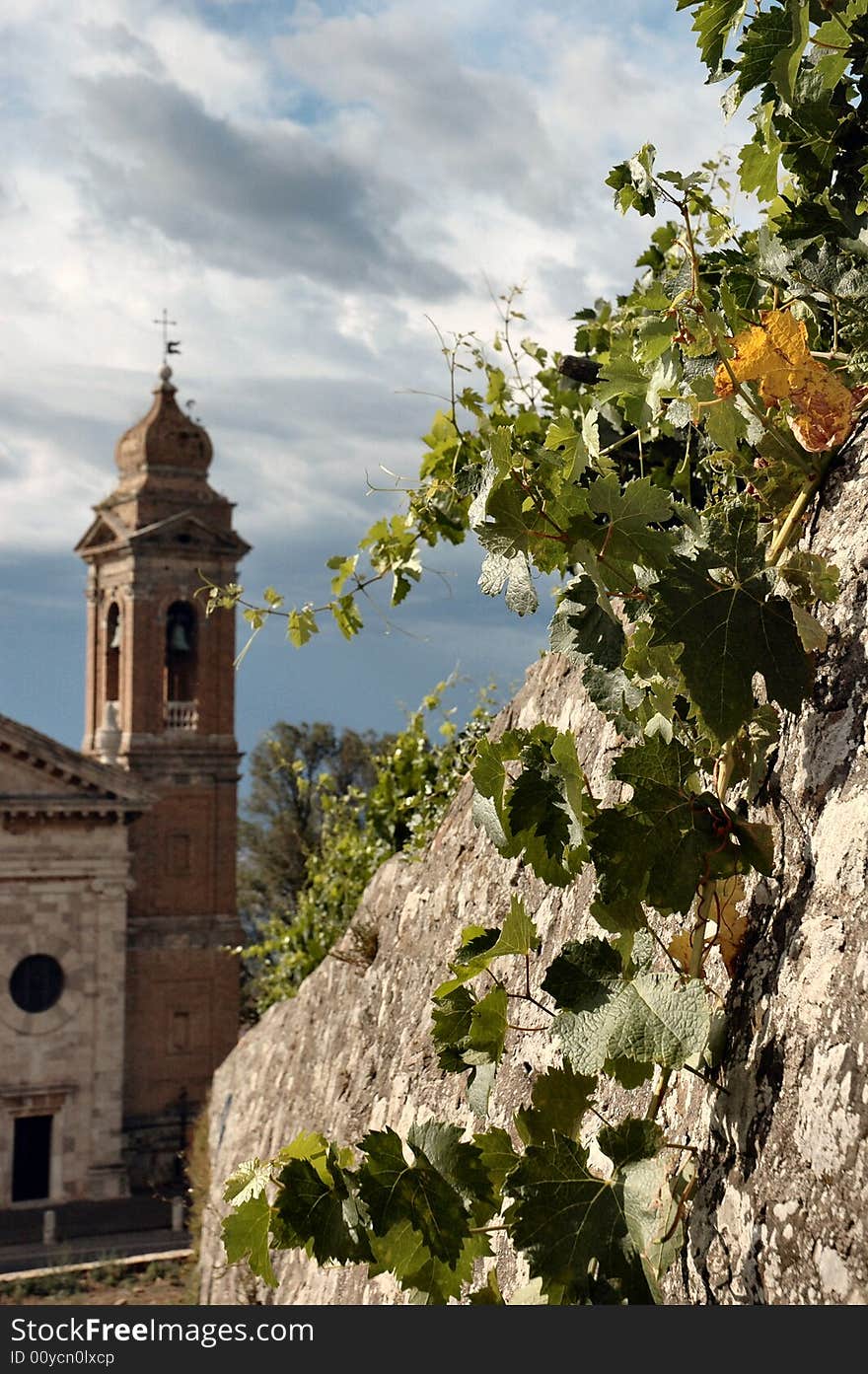 Montalcino