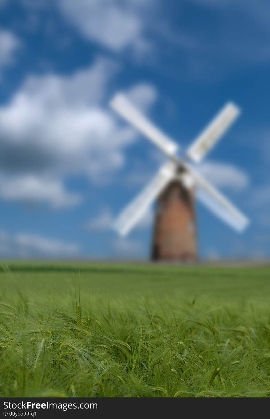 Crop And Windmill