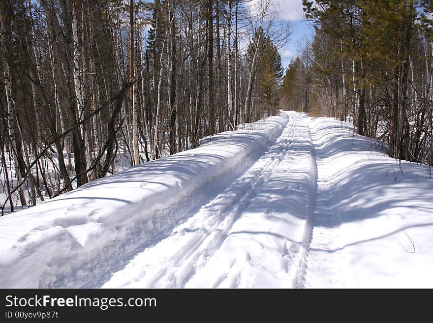 The winter snow-covered road to a wood escapes afar. The winter snow-covered road to a wood escapes afar