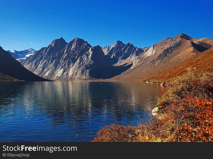 When travelling in Tibet of China, a  beautiful lake and mountain appears in front of us, with boskages beside it.