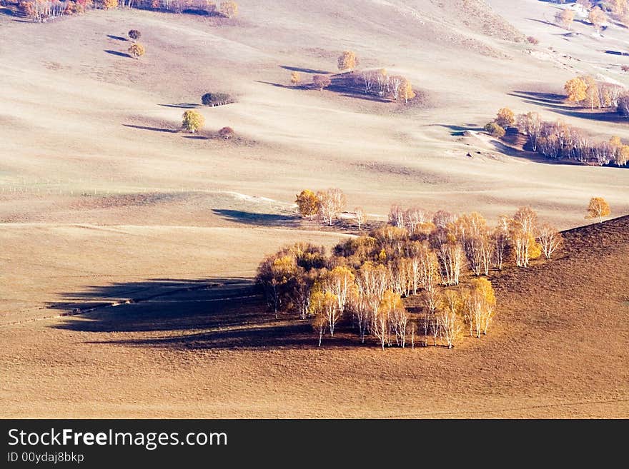 The autumn of bashong is very wonderful