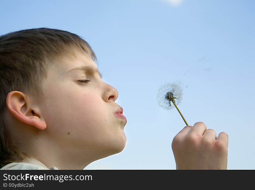 Young Boy blowing seeds away