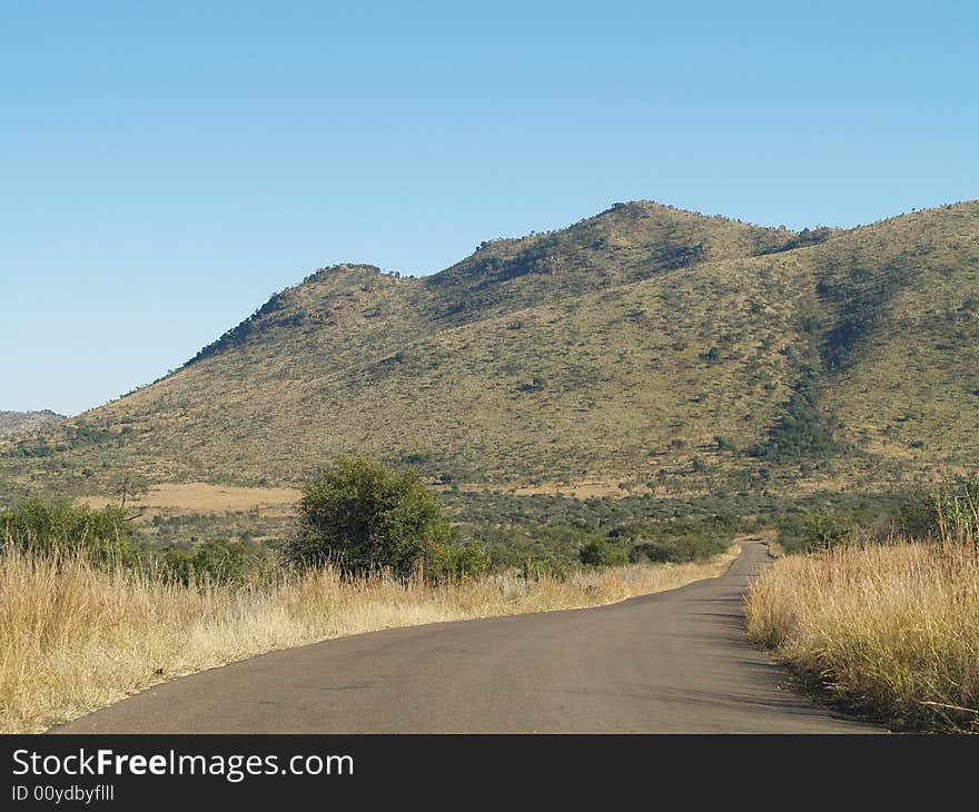 Scenic view of Pilansberg Nature Reaserve