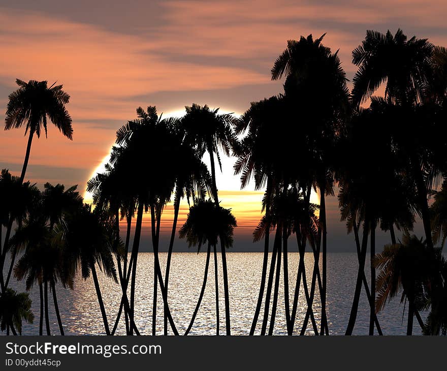 Tops of palm trees on a background of a sunset sky. Tops of palm trees on a background of a sunset sky