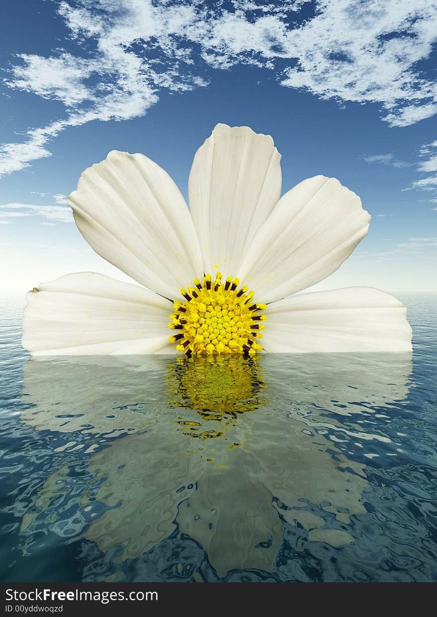 Beautiful flower with reflection on water - digital artwork. Beautiful flower with reflection on water - digital artwork.