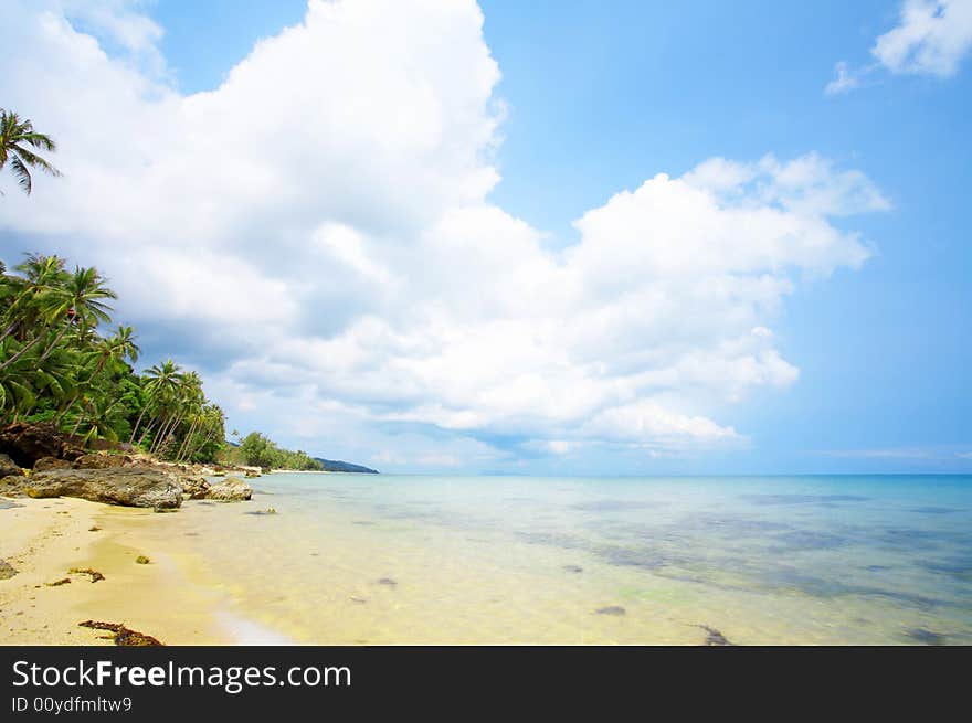 View of nice tropical empty sandy beach with some palm. View of nice tropical empty sandy beach with some palm