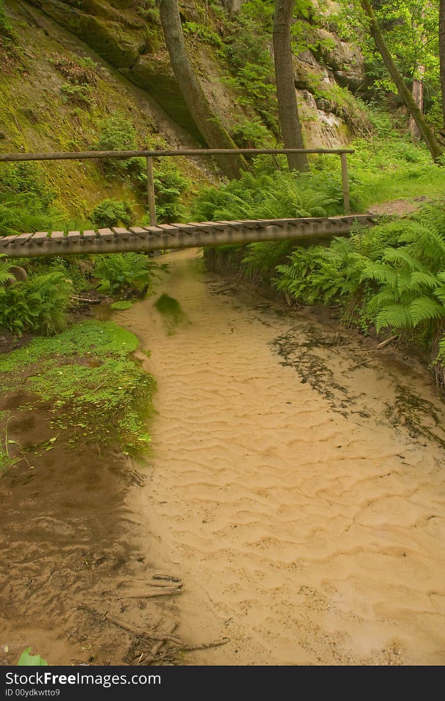 Wooden footpath