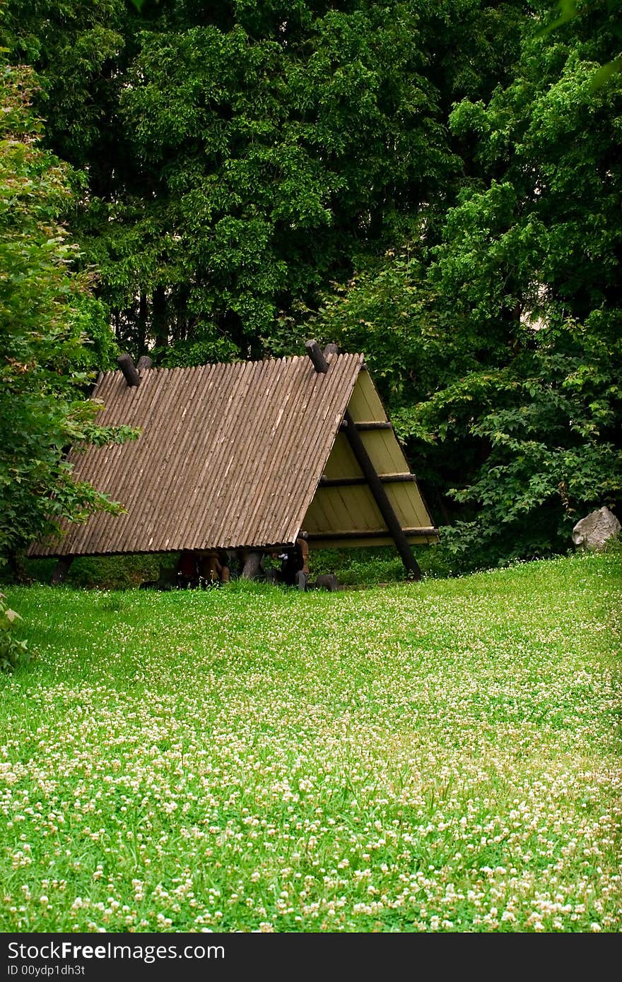 Summer scene of forest park