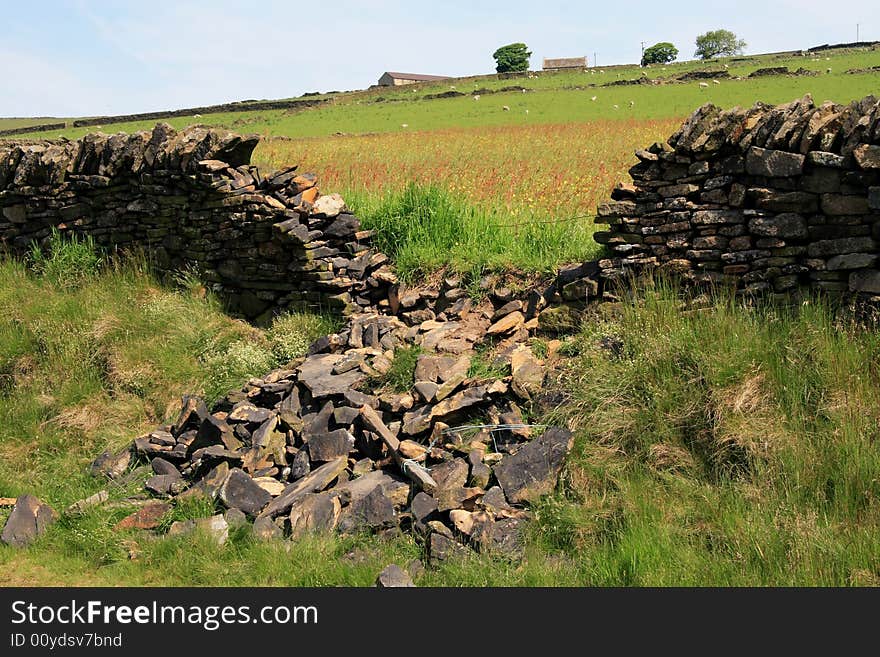 Collapsed Dry Stone Wall