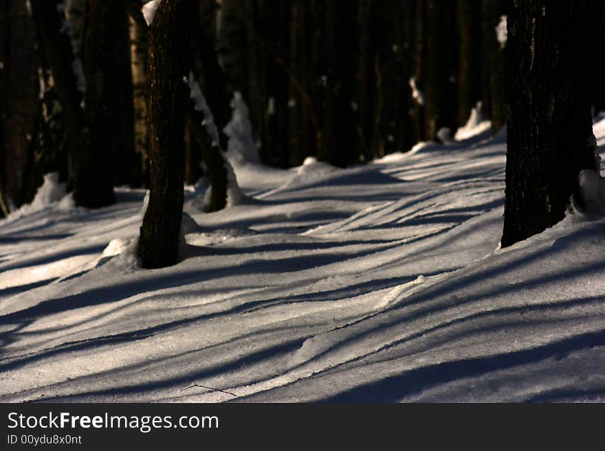 Trees are casting parallel shadows to the snow. Trees are casting parallel shadows to the snow