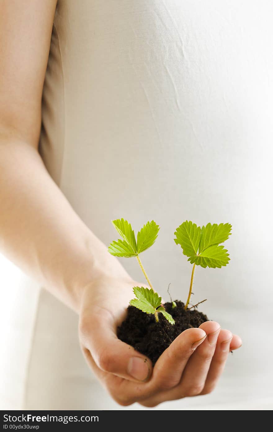 Girl holding a strawberry plant on her hand