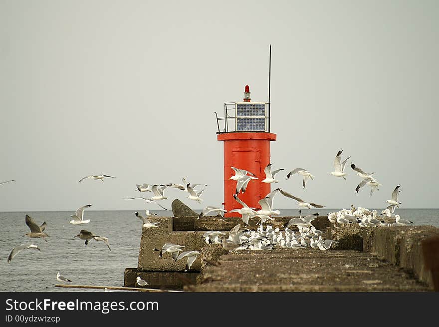 Seagulls flying near a beacon.