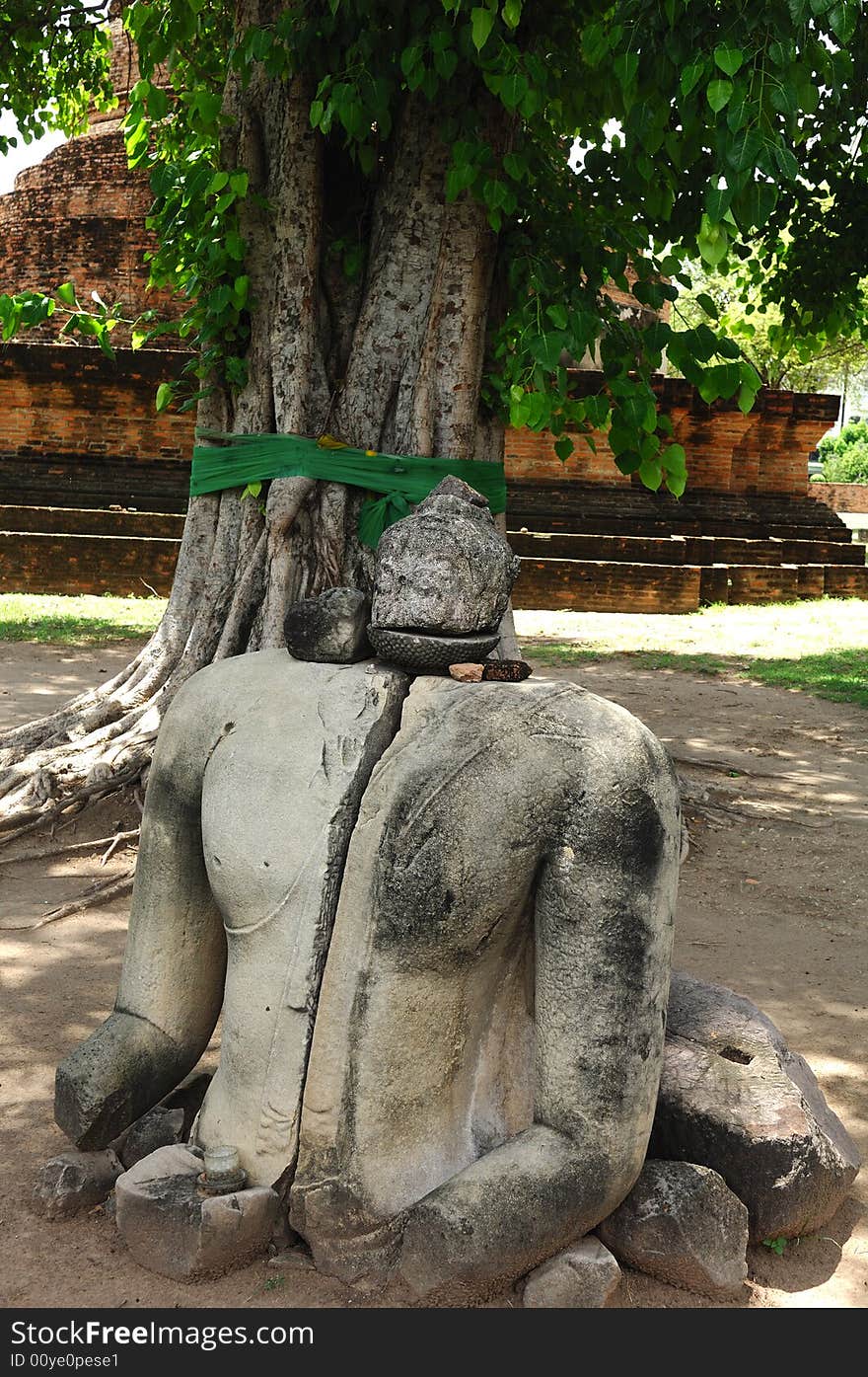 In Thailand the city of Ayutthaya was founded in 1350 today is an impressive archaeological park; here a view of the Wat Ratburana or Ratchaburana ruins built in 1424
; Here an ancient statue of Buddha. In Thailand the city of Ayutthaya was founded in 1350 today is an impressive archaeological park; here a view of the Wat Ratburana or Ratchaburana ruins built in 1424
; Here an ancient statue of Buddha