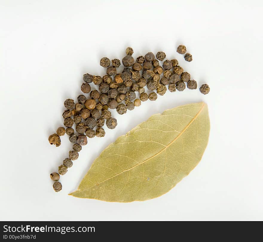 Spices on a white background