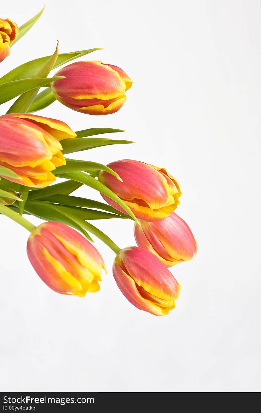 Beautiful Bouquet Of Tulips