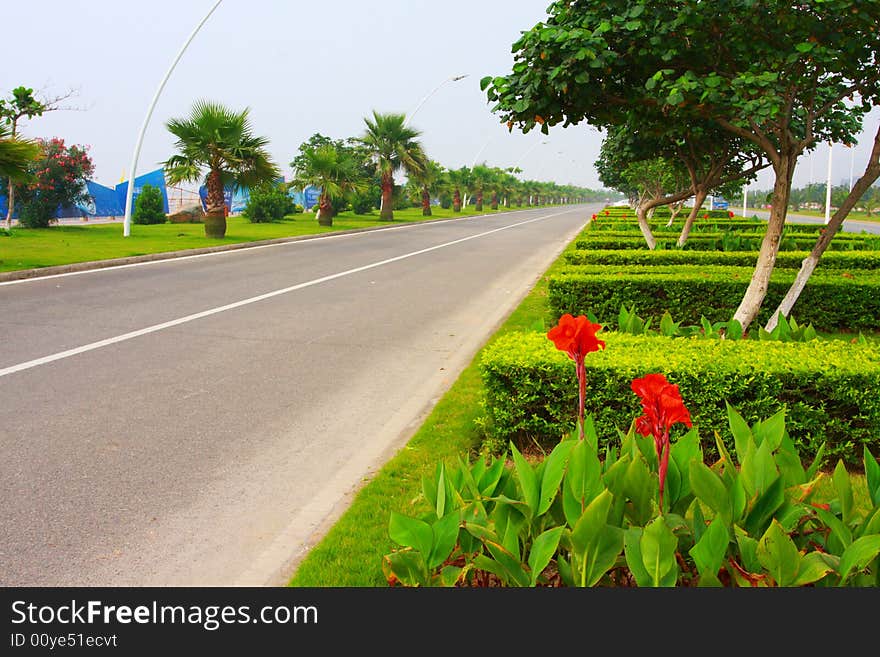 There have lot of plants beyond city street for better environment. There have lot of plants beyond city street for better environment