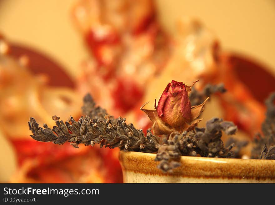 Dry flowers