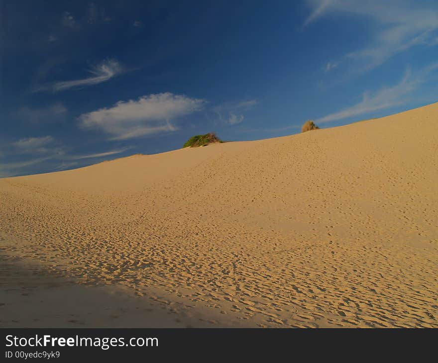 Cronulla Sand Dunes