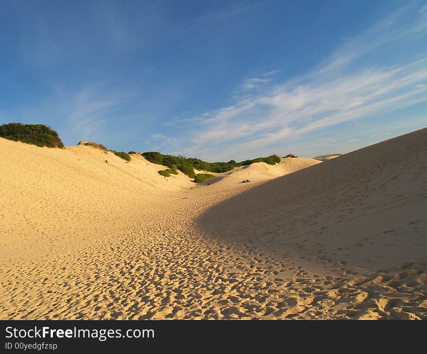 Dunes in Cronulla, Sydney, Australia. Dunes in Cronulla, Sydney, Australia