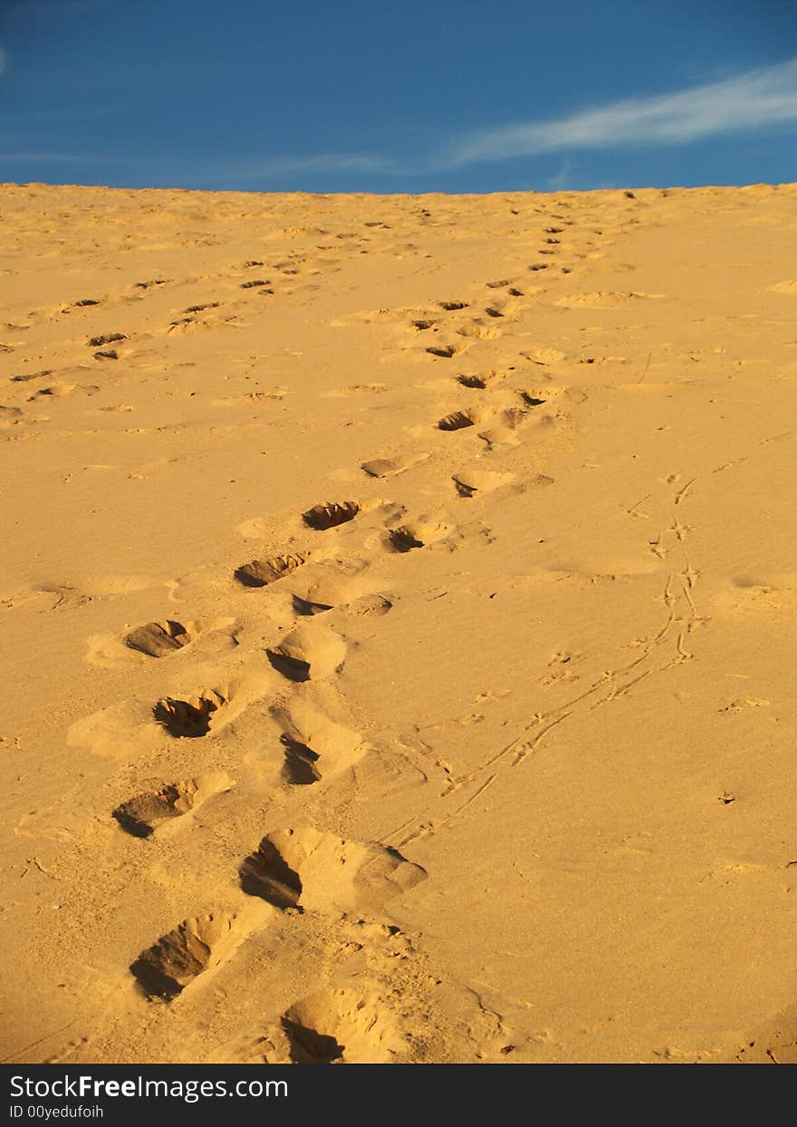 Sand dunes and desert in Cronulla, Sydney, Australia. Sand dunes and desert in Cronulla, Sydney, Australia