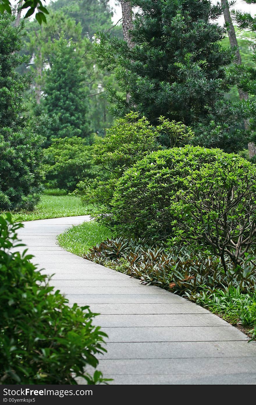 The quiet road in the park.