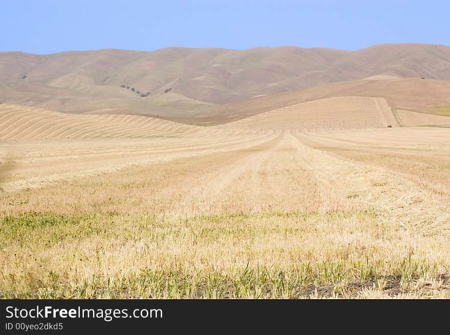 Rolling fields