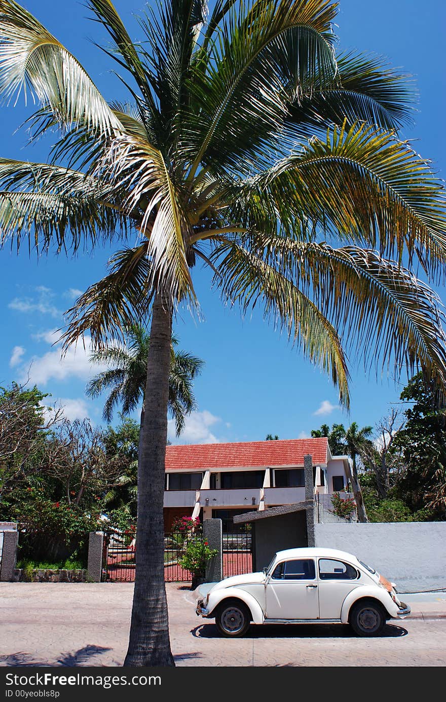 Little 'beetle' car, most popular in Mexico, standing under the palm on a street of San Miguel town on Cozumel island.