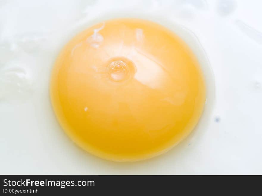 Frying the fresh egg close-up