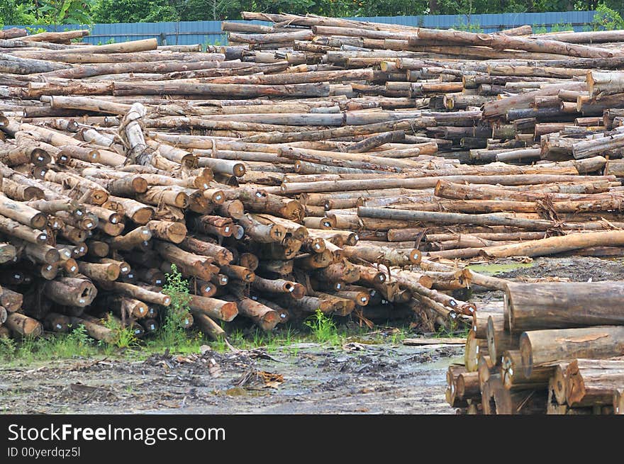 At a timber factory in Asia. At a timber factory in Asia