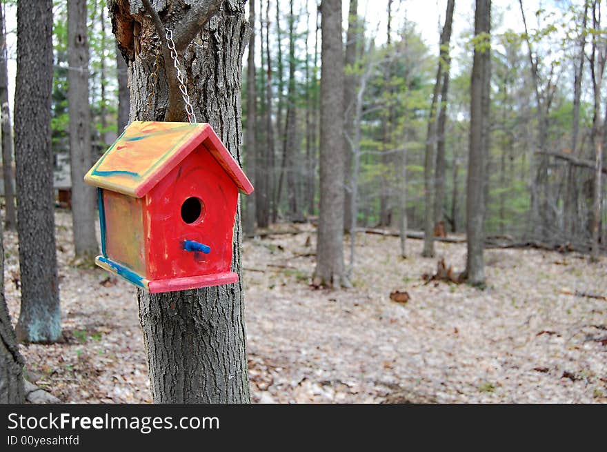 Colorful birdhouse hanging on backyard tree. Colorful birdhouse hanging on backyard tree